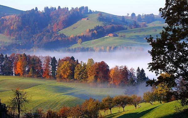 網(wǎng)站內(nèi)容測(cè)試，請(qǐng)及時(shí)刪除！